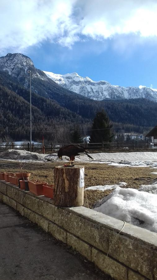 B&B Nido Delle Aquile Monclassico Bagian luar foto